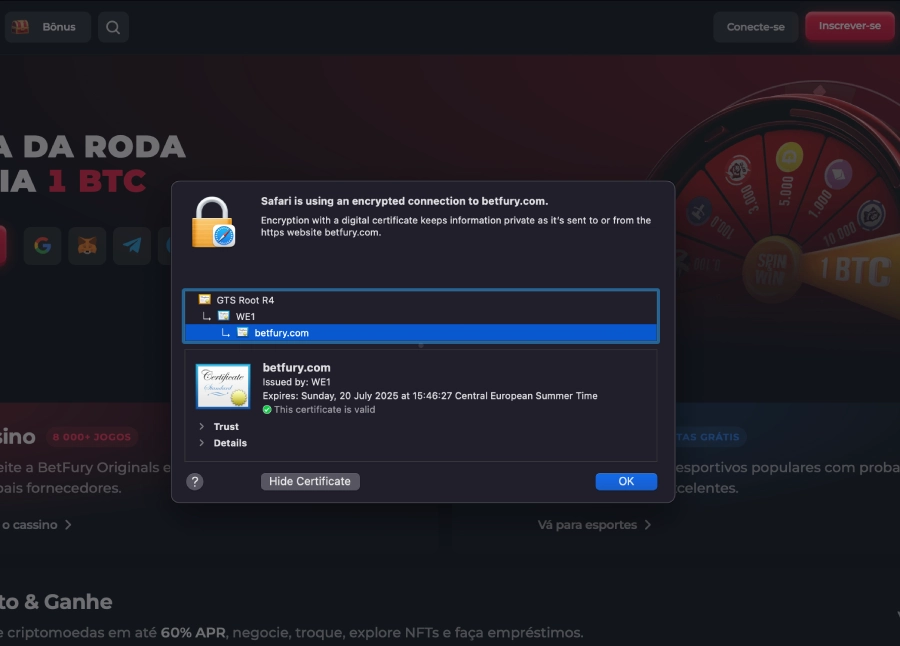 Exemplo de certificado de segurança de SSL de 256 bits do Betfury cassino.